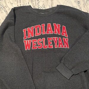 Indiana Wesleyan Gray Sweatshirt, Womens Large